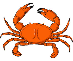 Crab vintage colorful clipart png