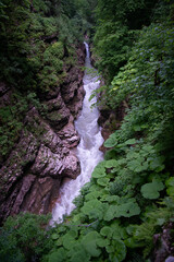 Early morning. Mountain river after rain.
