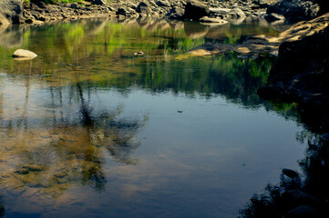 beautiful and cooling river with trees and rocks