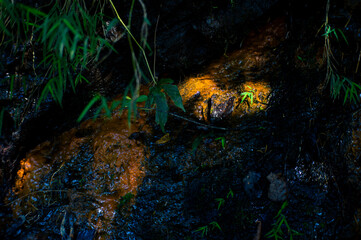 green sulfur on a rock cliff