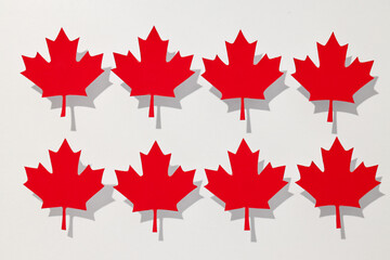 Red maple leaves on a white background