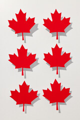 Red maple leaves on a white background