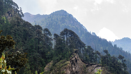 Char Dham (Kedarnath, Badrinath, Gangotri And Yamunotri )  Yatra Trekking Scenic Photos Uttarakhand India 2024