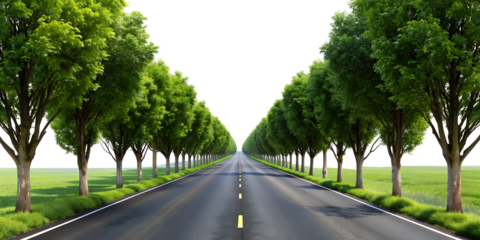 A road tree view isolated on white background ,PNG. AI GENERATED