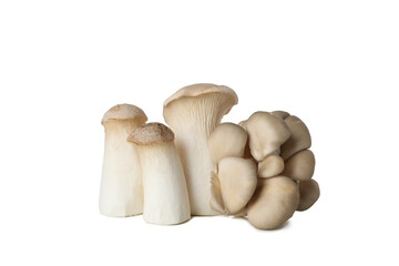 PNG, Fresh peeled mushrooms, isolated on white background