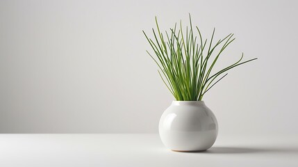 A tiny chive plant in a sleek vase on a white background.