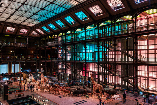 Paris, France. 20 mai 2024. The second floor of the Grande Galerie de l&rsquo;Evolution in The Jardin des Plantes. Counter dive view.