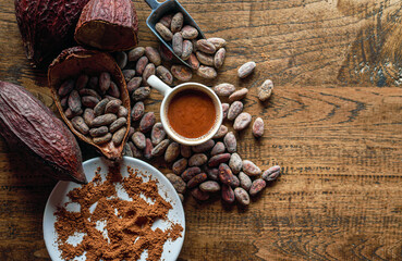 Top view of hot chocolate drink,cocoa drink and natural cocoa powder with brown cocoa beans and dry cacao pod  on a vintage wooden table.