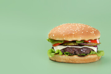 Burger with delicious patty on green background. Space for text