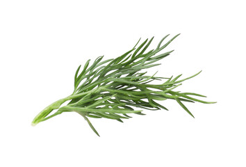Fototapeta premium Sprig of fresh dill isolated on white