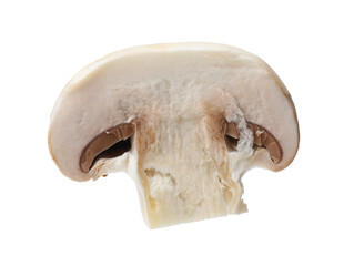 Fototapeta premium One piece of fresh mushroom isolated on white