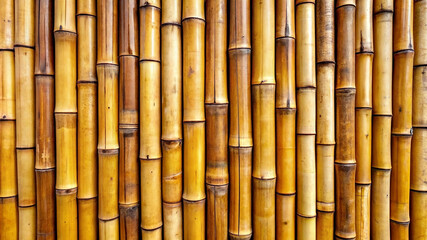 Fototapeta premium bamboo texture background