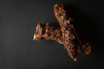 Top view of two pieces of Jatashankar or Jatamansi (Nardostachys jatamansi) roots. Isolated on a black background.