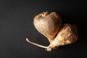 A pile of Dry Organic Wild onion or Indian squill (Drimia indica), isolated on a black background. Top view.