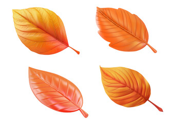 set of orange leaf, autumn leaf icons, 3d rendering of leaves, isolated on transparent background