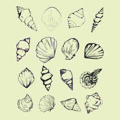 set of shells