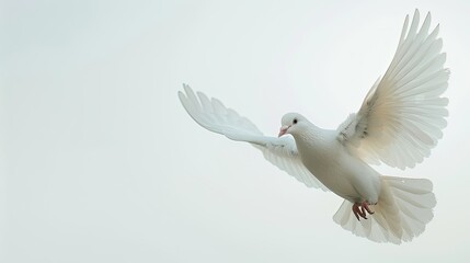 Fototapeta premium Close-up of a serene white dove soaring against a clear white sky, symbol of hope