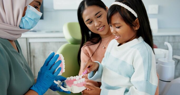 Child, pediatric dentist or teach on brushing teeth in practice or kid friendly demonstration of tooth hygiene. Orthodontist, parent or girl by dental model or cleaning mouth in interactive education