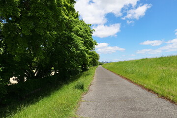 真っ直ぐに伸びる道と青空