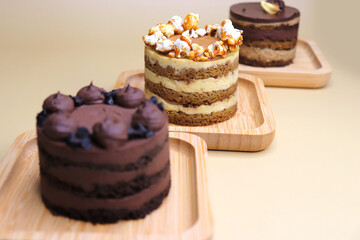 Assorted Seasonal mini cakes. Hazelnut, Opera, Salted Caramel, and Double Chocolate. Endless variety, easy serving, moist layers, rich frosting. A symphony of flavor in every bite. Bakery products. 