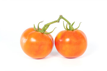 Close-up of fresh tomatoes  on a branch isolated on a white background