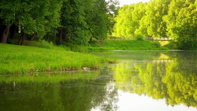 small lake in city park