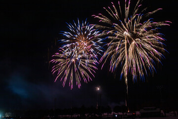日本の芸術花火