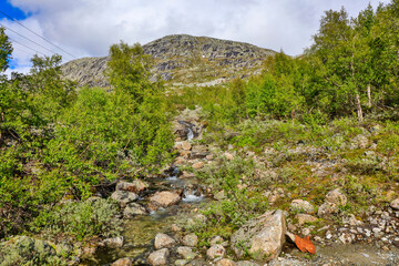 Norway landscape on a sunny summer day