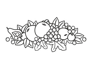 Different Types of Fruits Outline