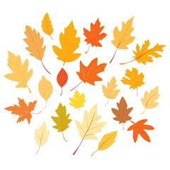 Set of colorful autumn leaves isolated on transparent background 