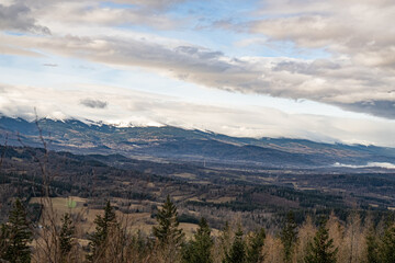 mountain and forrest