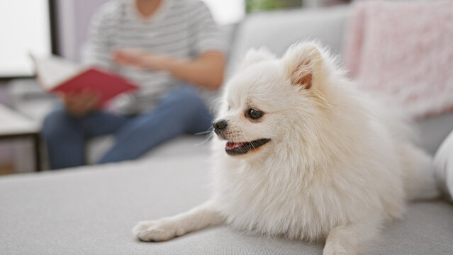 Smart and handsome young caucasian man comfortably relaxing with his pet dog, engrossed in reading a book on the sofa in his cozy home's living room.