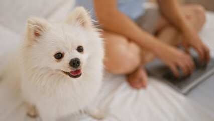 Fototapeta premium Easygoing morning in a cozy apartment, young caucasian man relaxes with his handsome puppy, comfortably sitting on a bed, focused on his laptop in the comfort of his bedroom