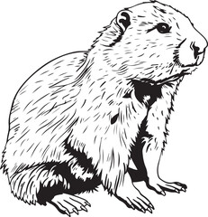 Fototapeta premium Beaver silhouette vector illustration