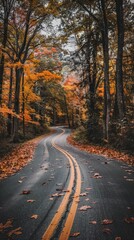 Winding road through autumn forest