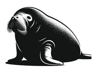 illustration of a seal