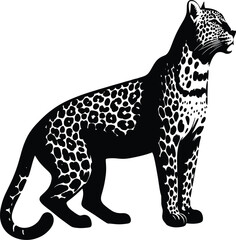 leopard vector illustration