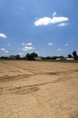 初夏の郊外のひび割れた休耕地風景