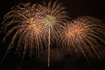 日本の空を彩る芸術花火