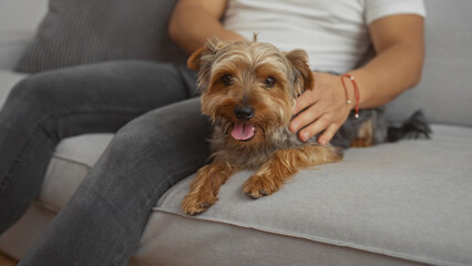 A man sitting on a couch in a living room with a small dog on his lap, gently petting the dog's back with one hand.