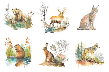 Fototapeta premium Woodland animals watercolor clipart. A mother bear with cubs, a deer, a lynx, a beaver, a hare and a wolf. Animals in their natural habitat. Set of watercolor images isolated on white background.