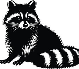 Racoon Vector