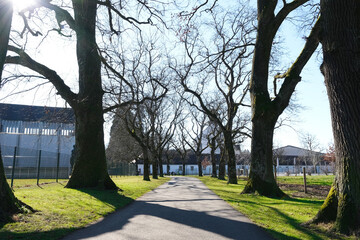 A path is lined with trees and a building is in the background