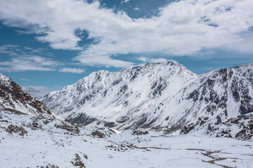 Cold snowy alpine landscape with last year's grass, sharp rocks and stones in white snow against snow-covered rocky mountain range under clouds in blue sky. High snow-white mountains in sunny day.