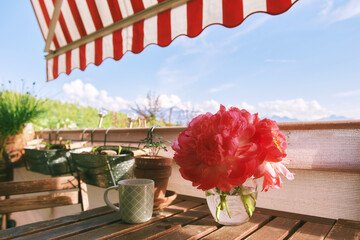 Cozy summer balcony with cup of tea or coffee on wooden table and pink peony flowers