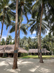 Amazing paradise view to the White beach with palms in Bohol Panglao island, Philippines