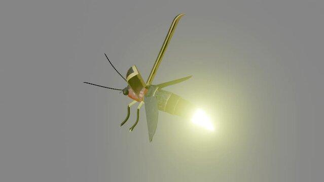 A firefly glowing and flapping wings and wing cover as 3d modeling animation.