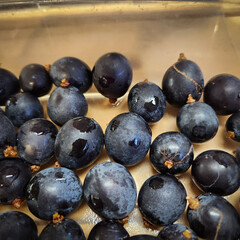 Kyoho grapes in the Sunday market in Taipei Taiwan.