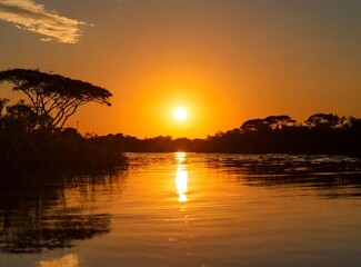 Sunset in the Pantanal, Mato Grosso do Sul, Brazil, South America