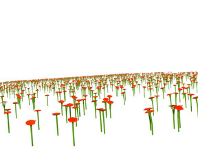 Albero con e senza foglie bianche, arancioni, verdi, gialle, rosse fondo trasparente e isolato inverno con  e senza neve	o foglie 
